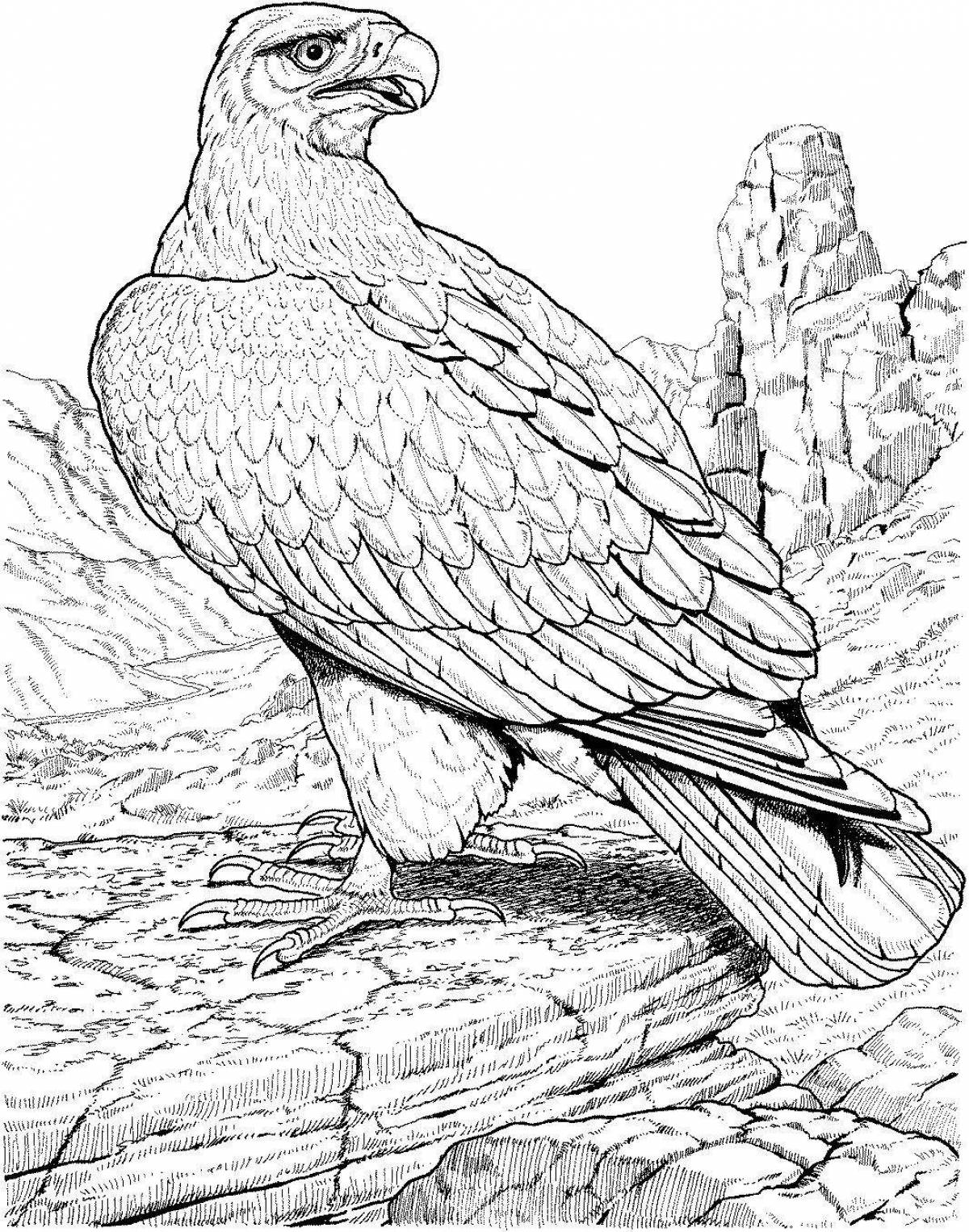 Coloring page royal steppe eagle