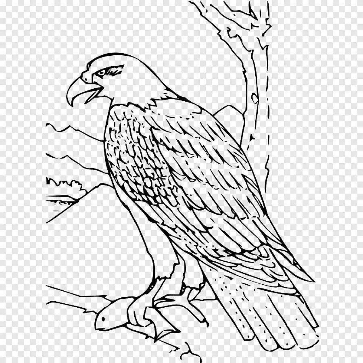 Coloring page dazzling steppe eagle