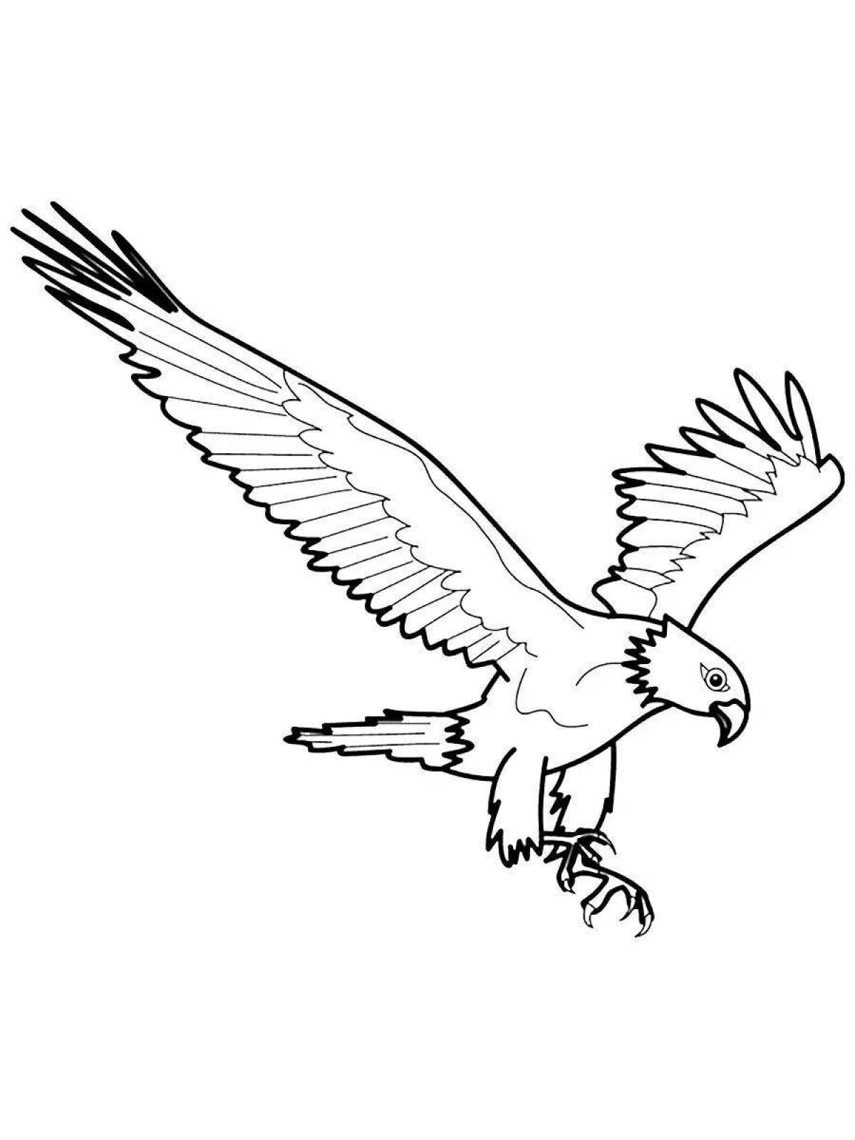 Coloring page elegant steppe eagle