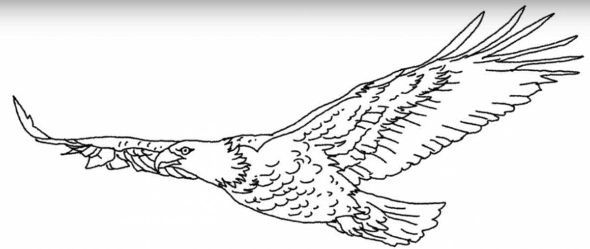 Great steppe eagle coloring page