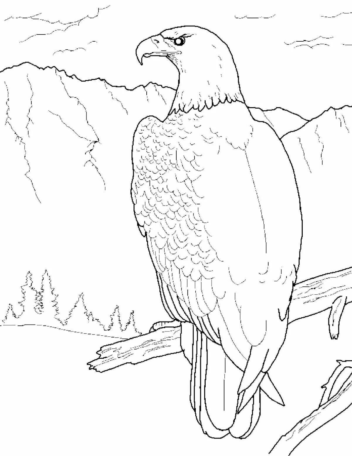 Coloring page luxury steppe eagle