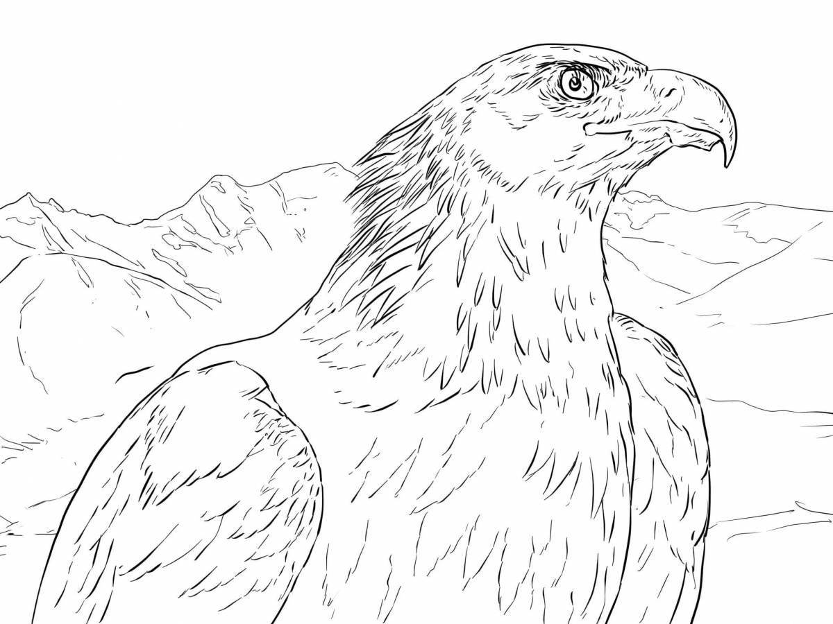 Coloring majestic steppe eagle