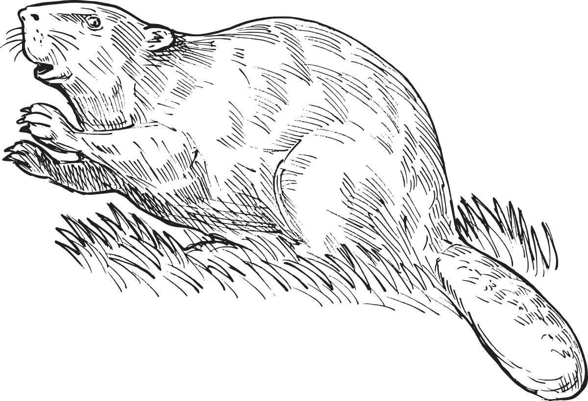 Adorable river beaver coloring book
