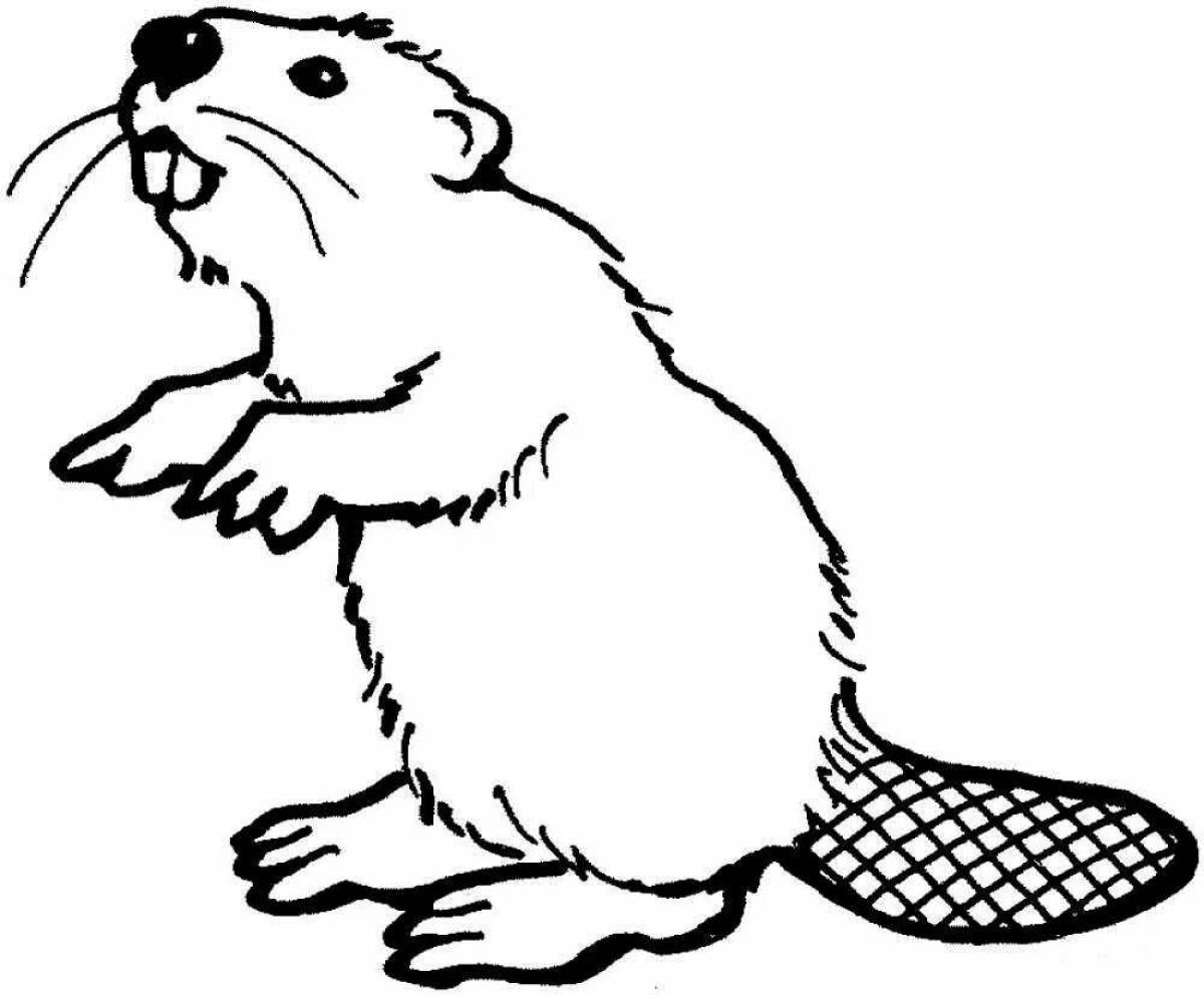 Playful beaver coloring