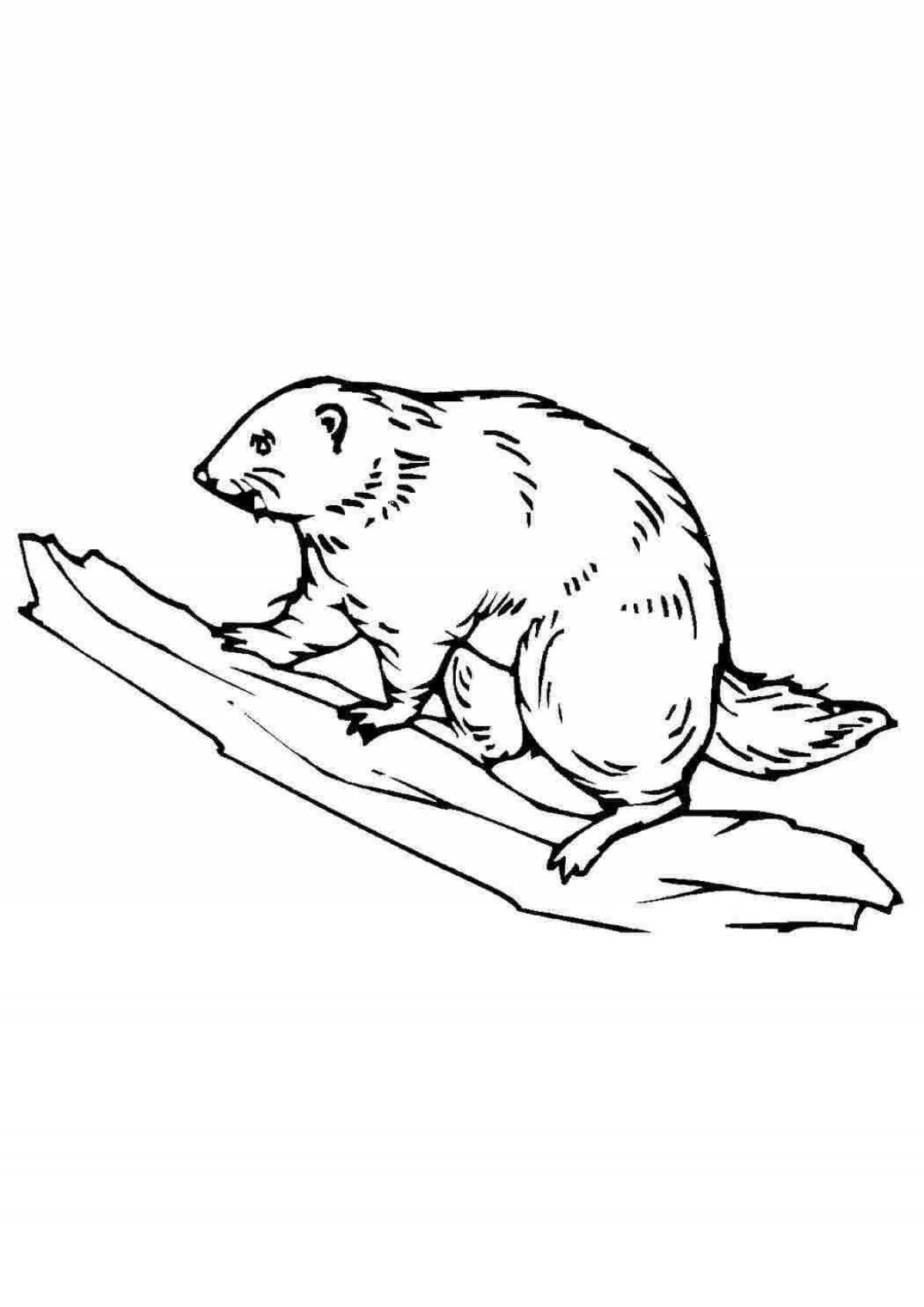Amazing river beaver coloring book