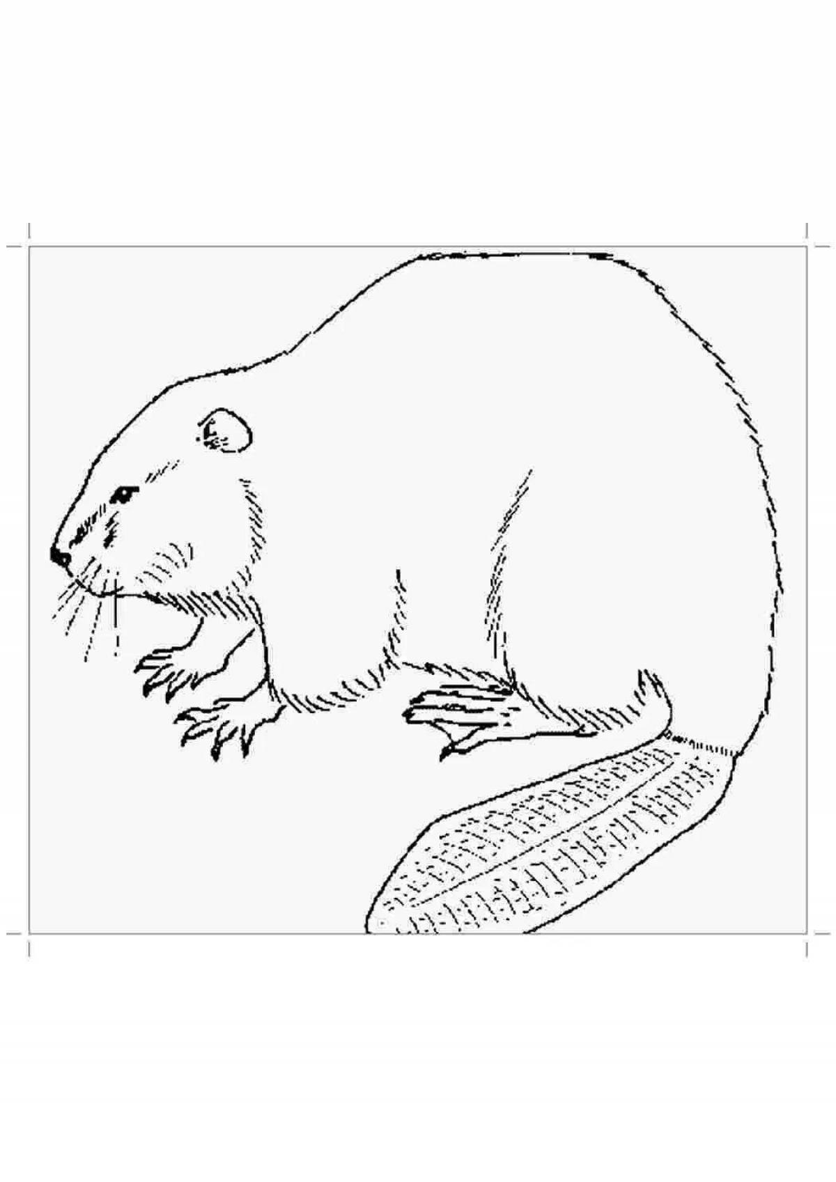 Animated beaver coloring page