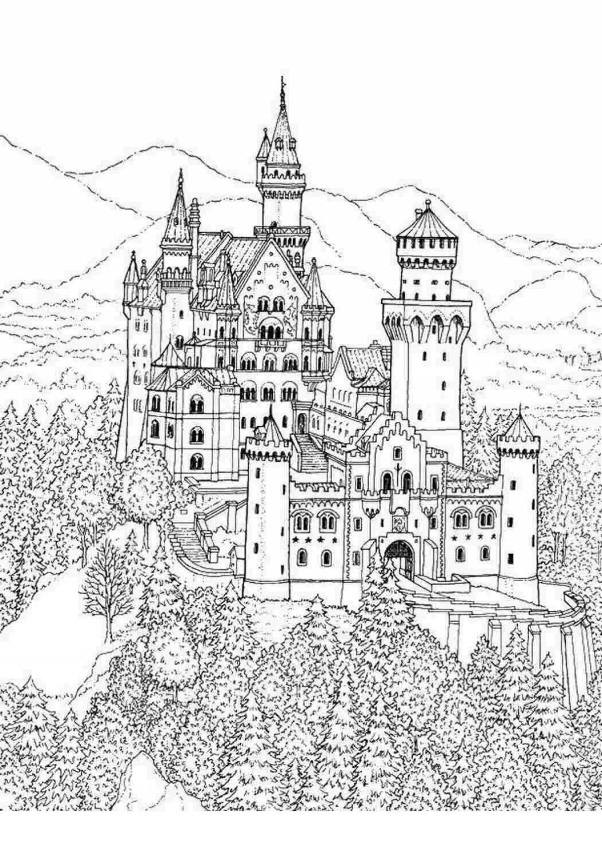 Coloring royal castle