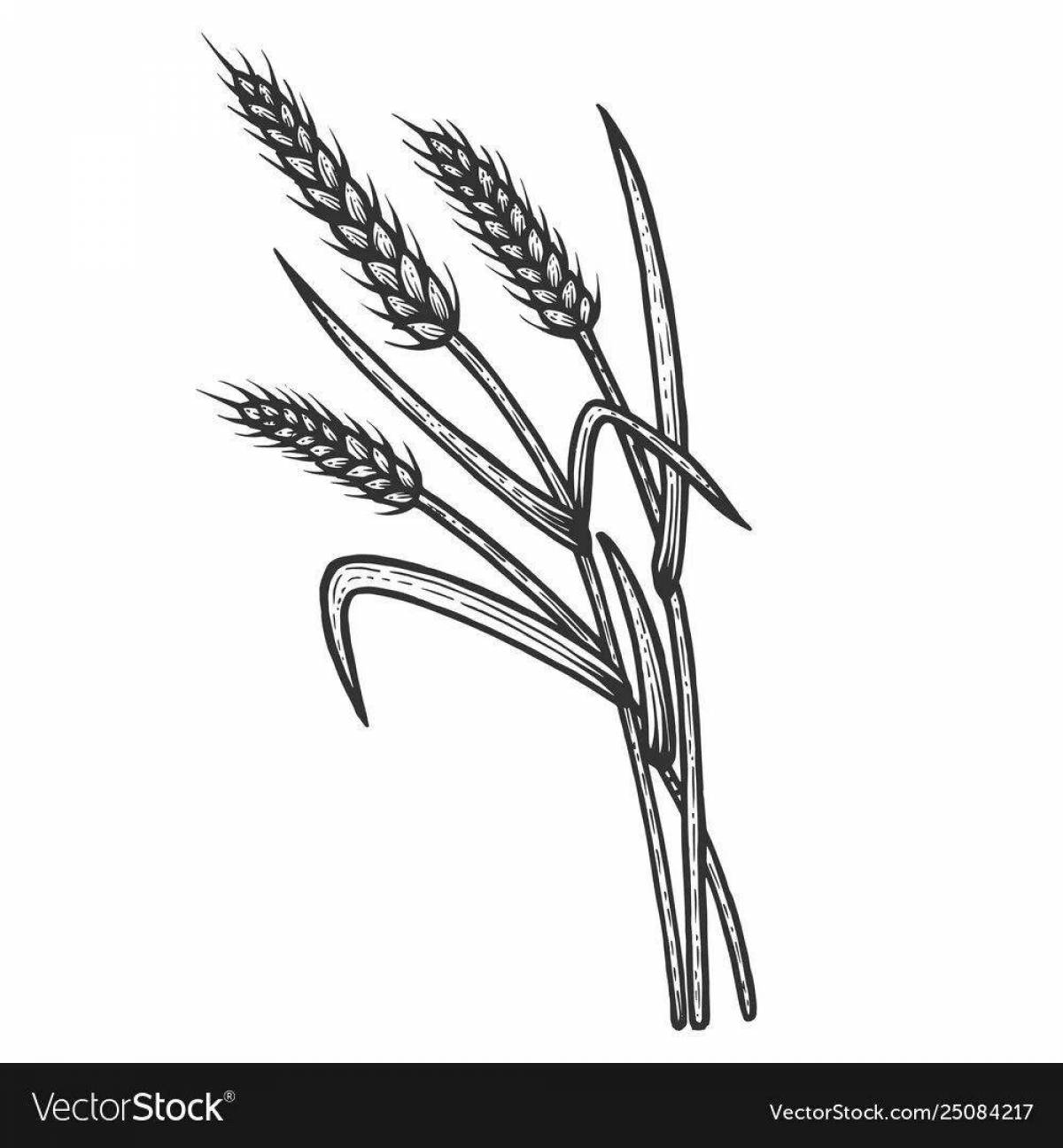 Glowing ears of wheat coloring page