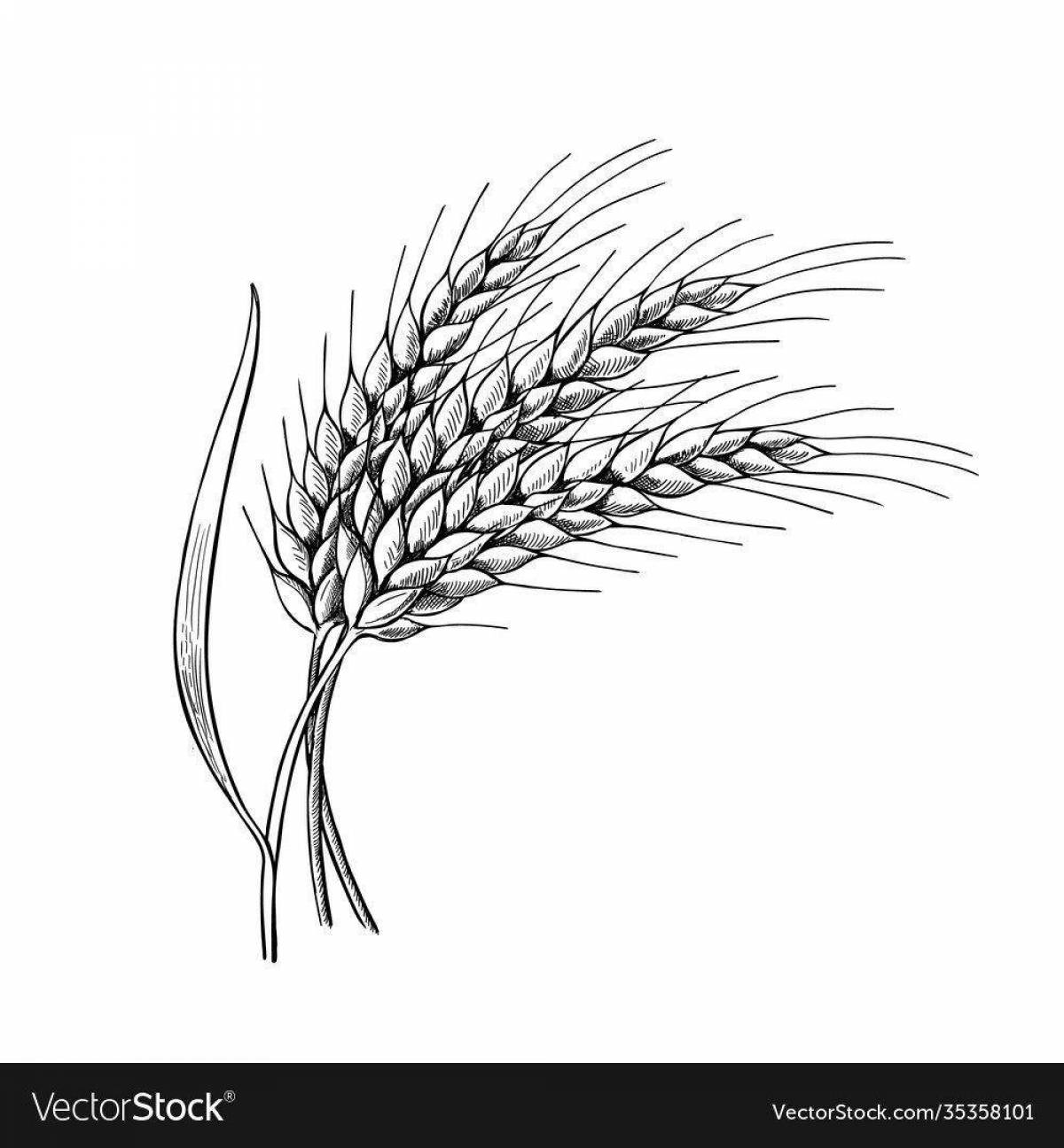 Coloring page delicate ears of wheat