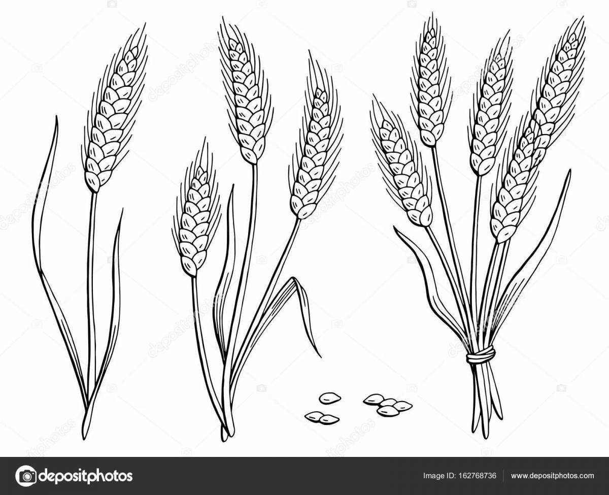 Coloring page graceful ears of wheat