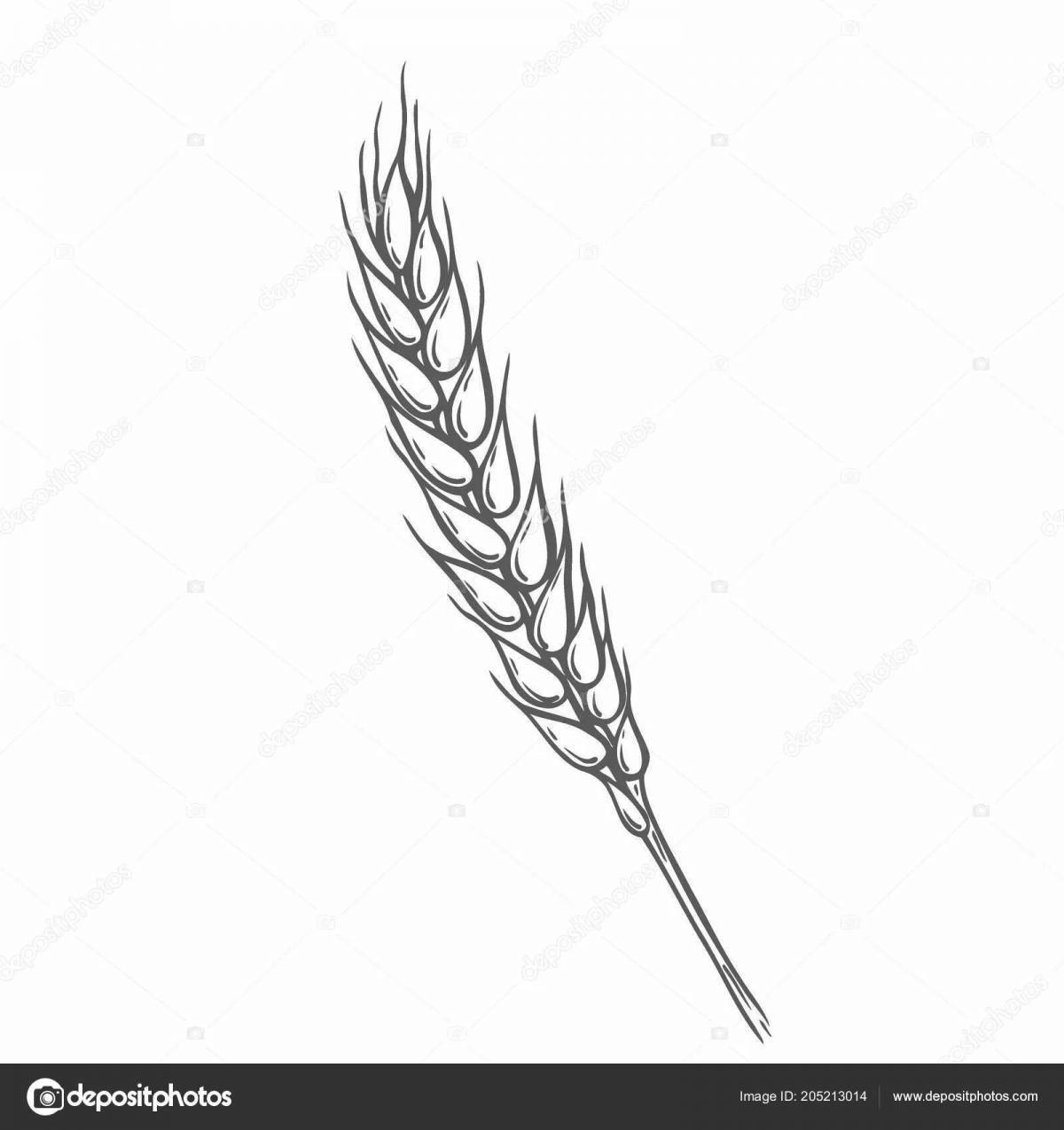Coloring page wild ears of wheat