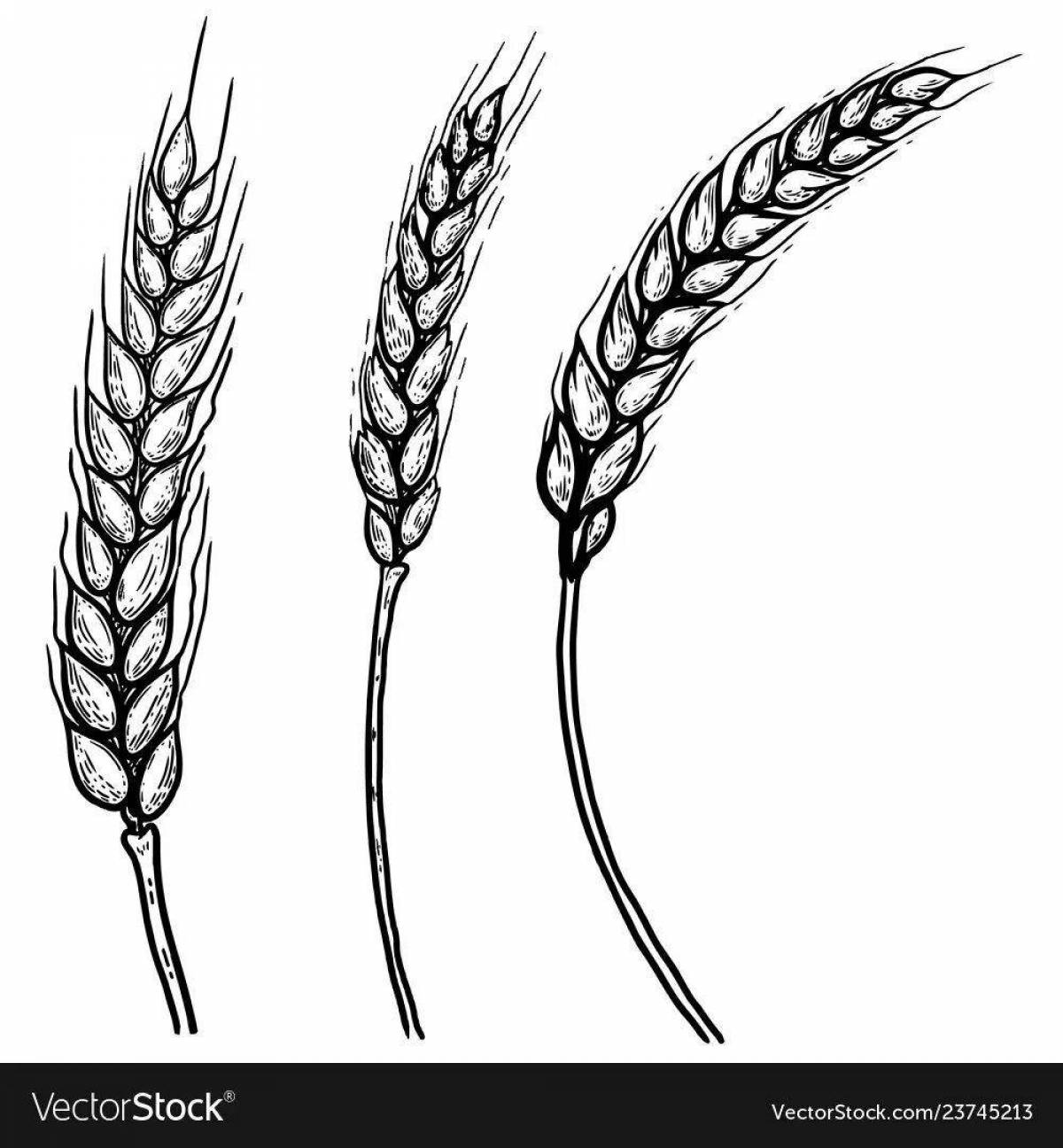 Playful ears of wheat coloring page