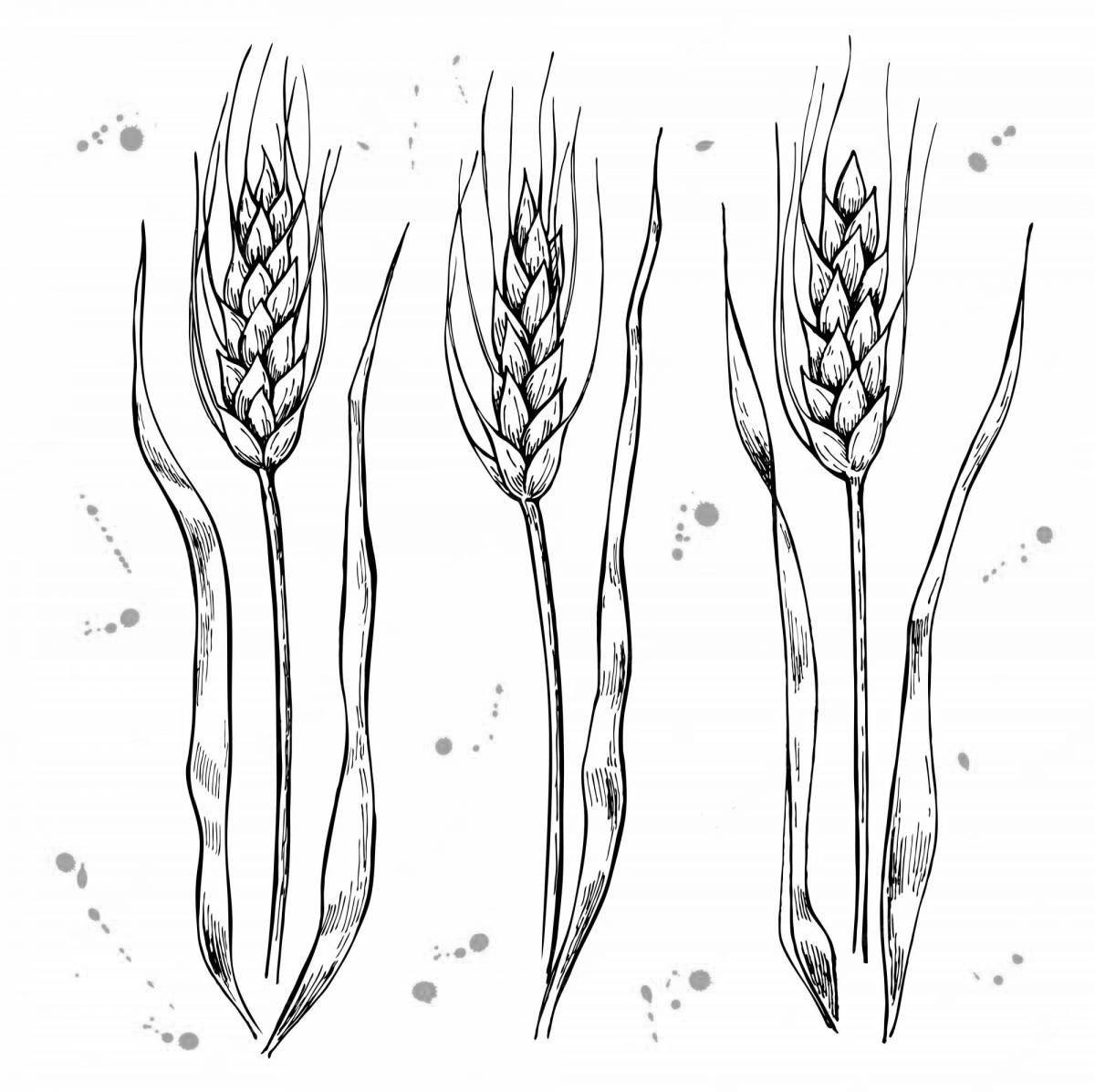 Fancy ears of wheat coloring page