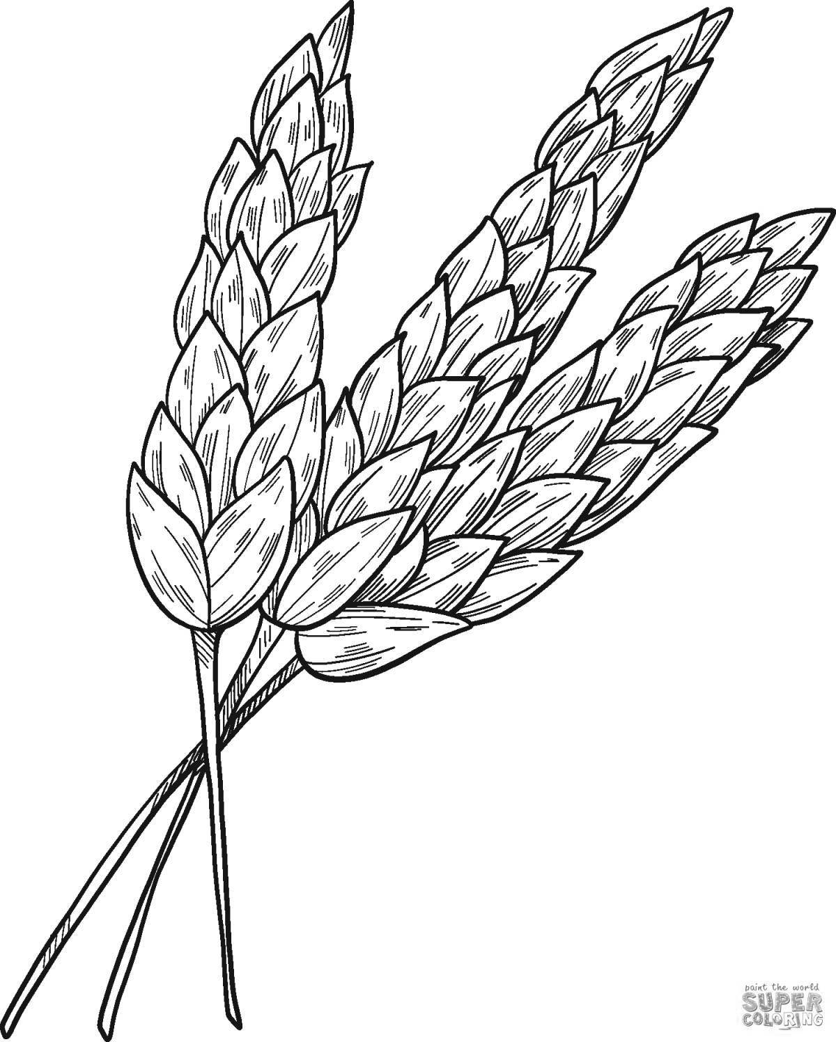 Анимированная страница раскраски колосьев пшеницы
