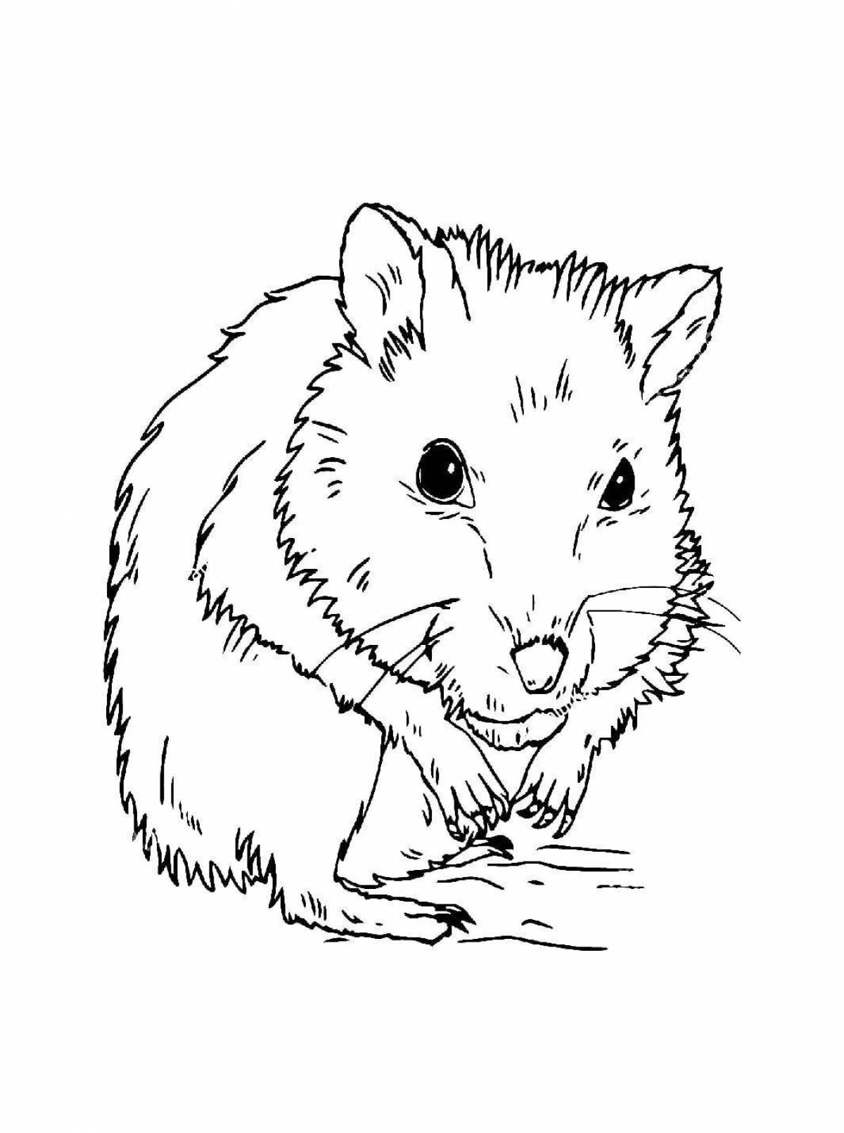 Coloring page adorable Djungarian hamster