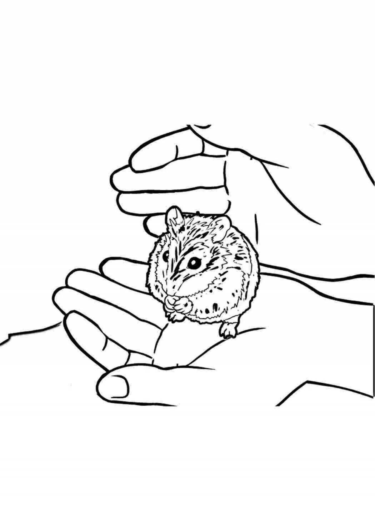 Coloring book cheerful Djungarian hamster