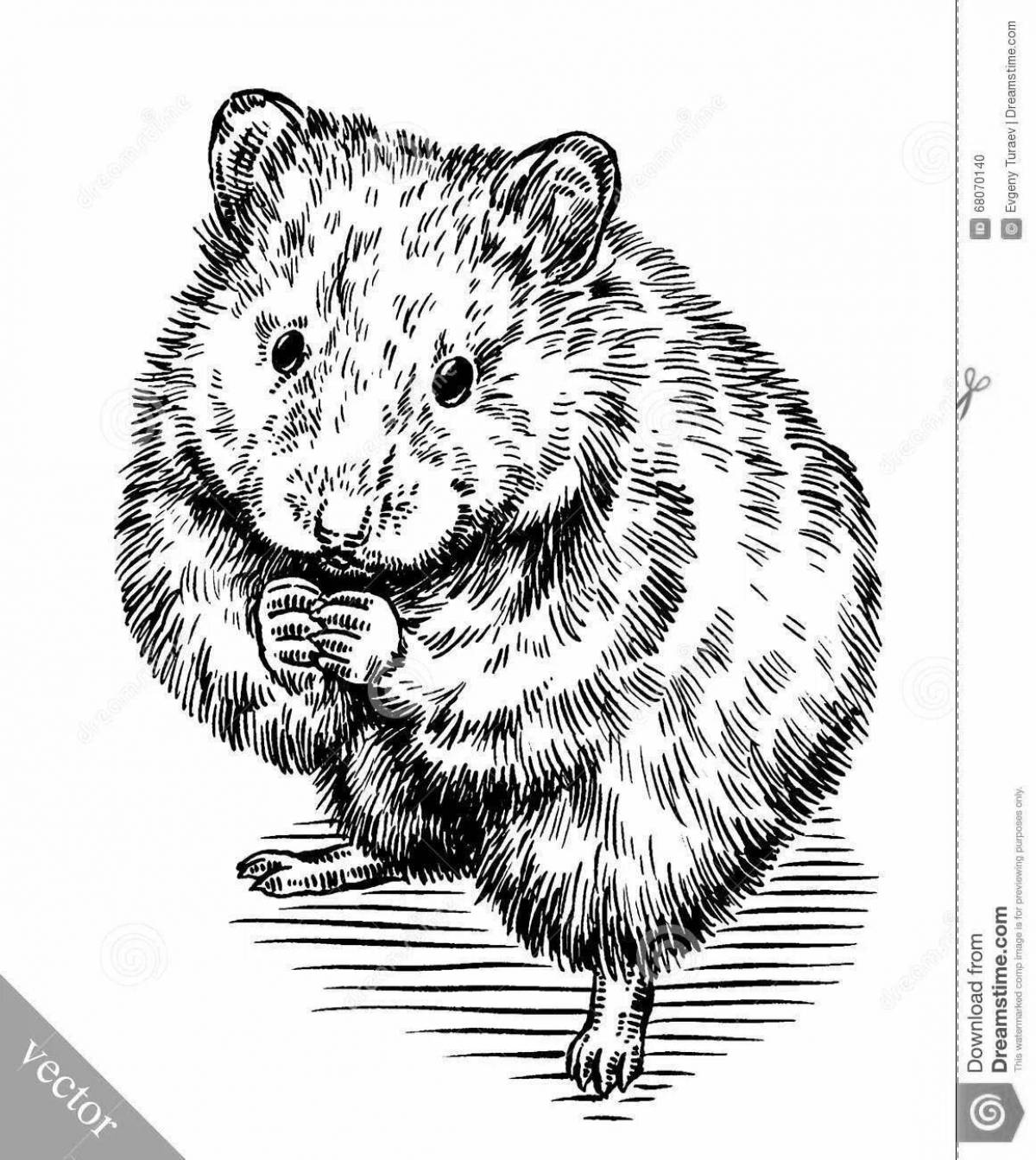 Coloring book playful Djungarian hamster