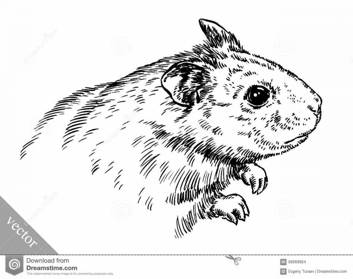 Coloring book joyful Djungarian hamster