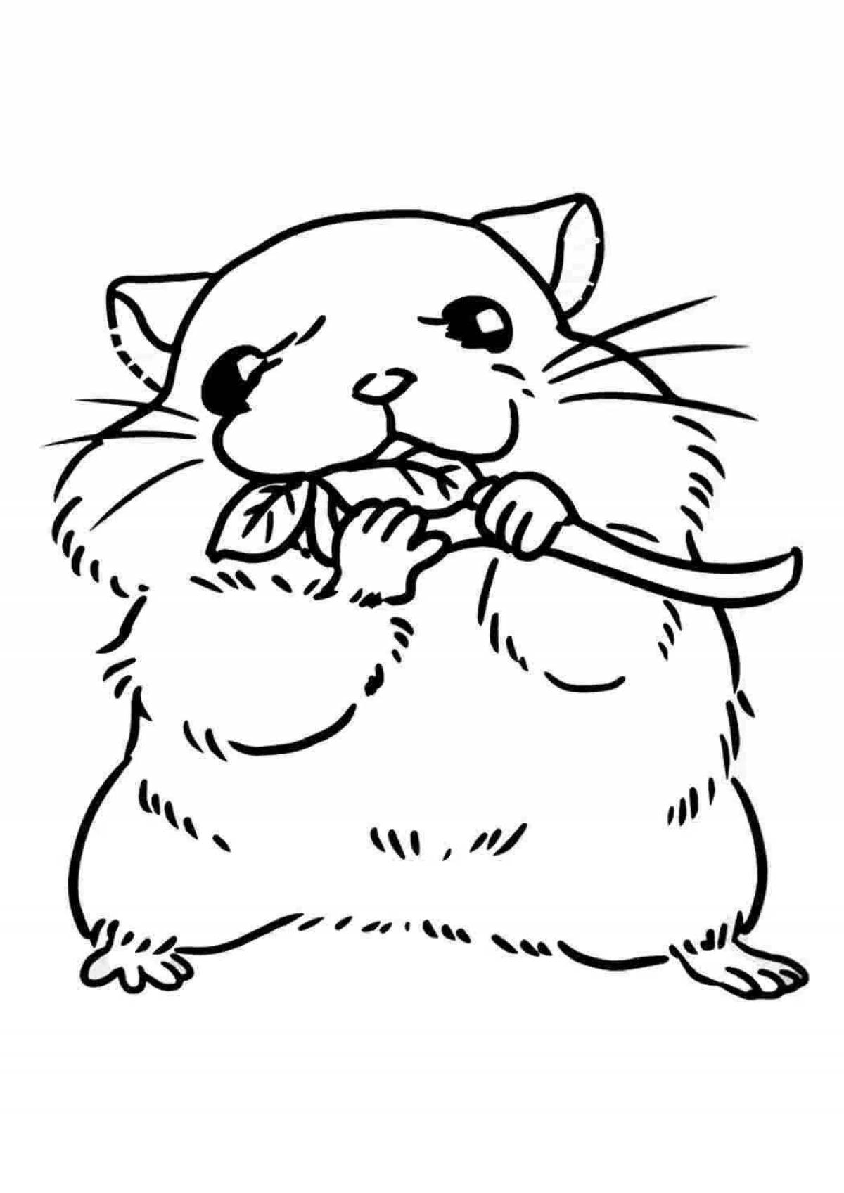 Gorgeous Djungarian hamster coloring page