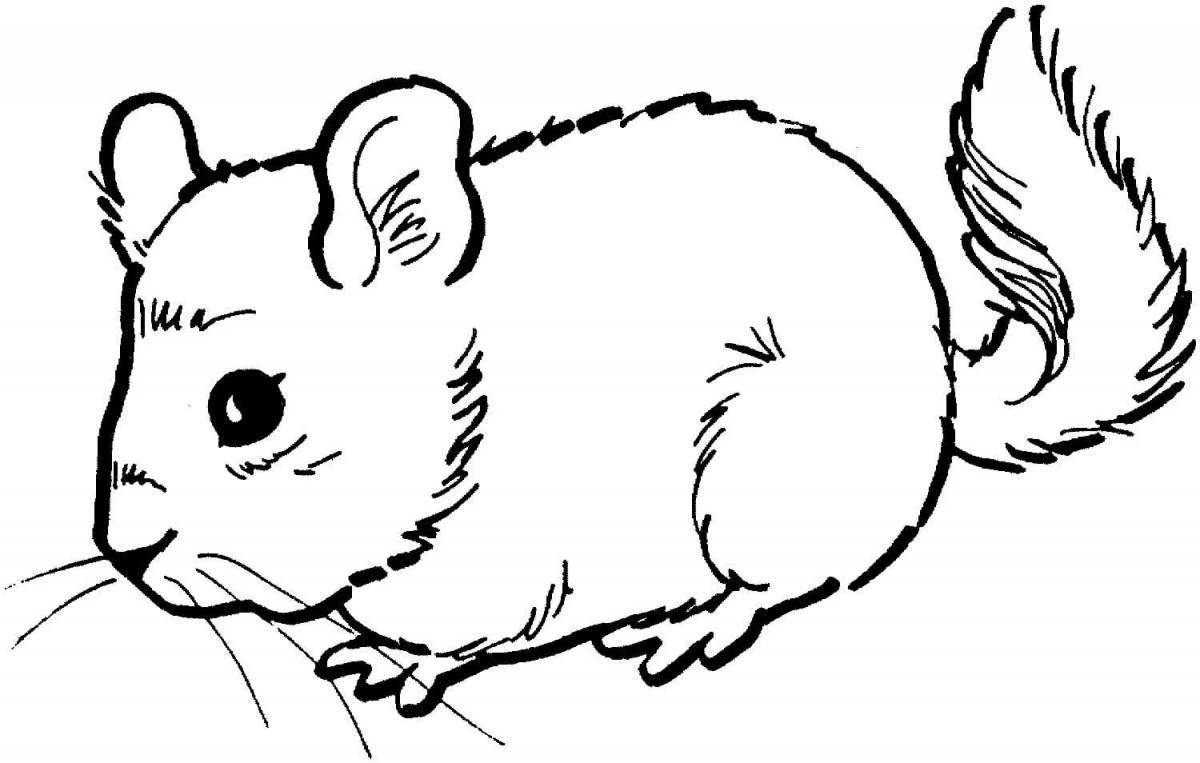 Coloring radiant Djungarian hamster