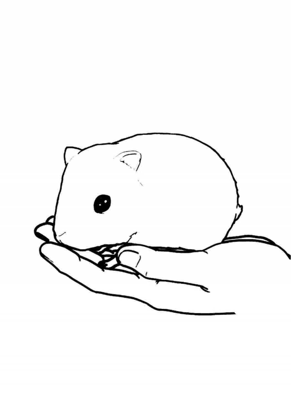 Coloring wild Djungarian hamster