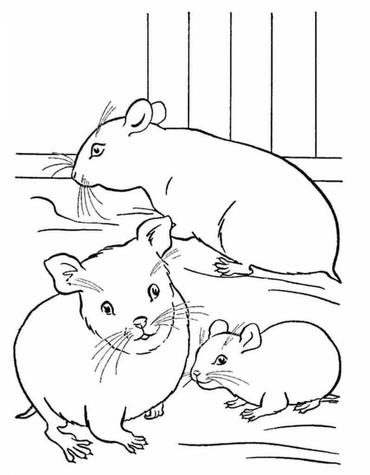 Coloring live Djungarian hamster