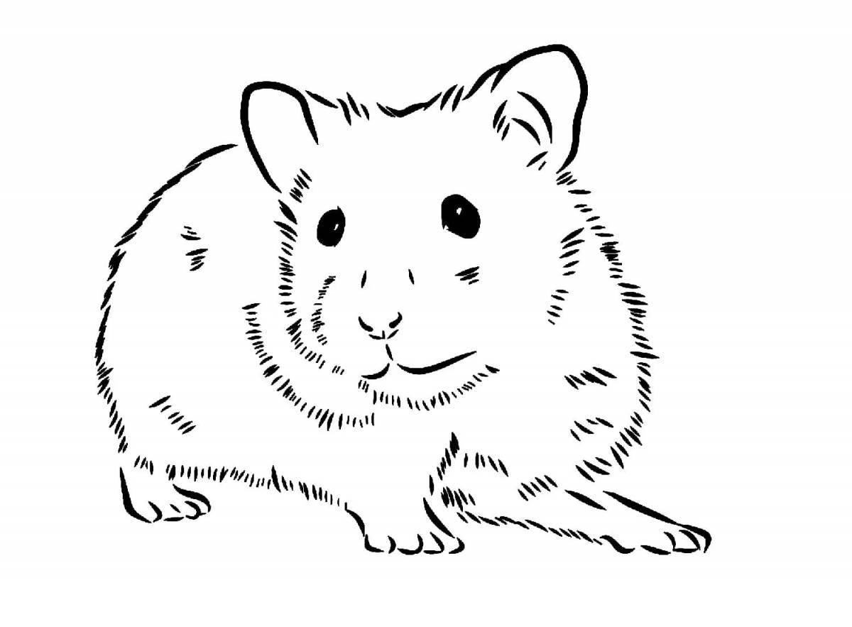 Coloring book witty Djungarian hamster
