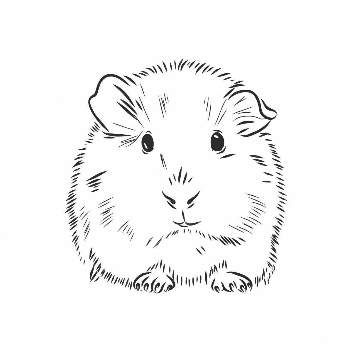 Coloring book humorous Djungarian hamster