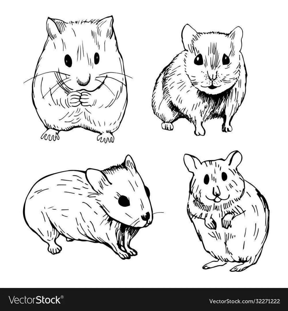 A funny coloring Djungarian hamster
