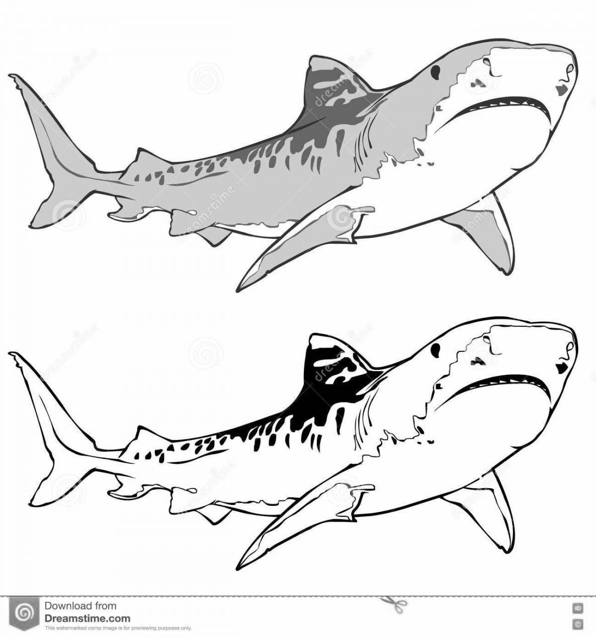 Majestic tiger shark coloring page