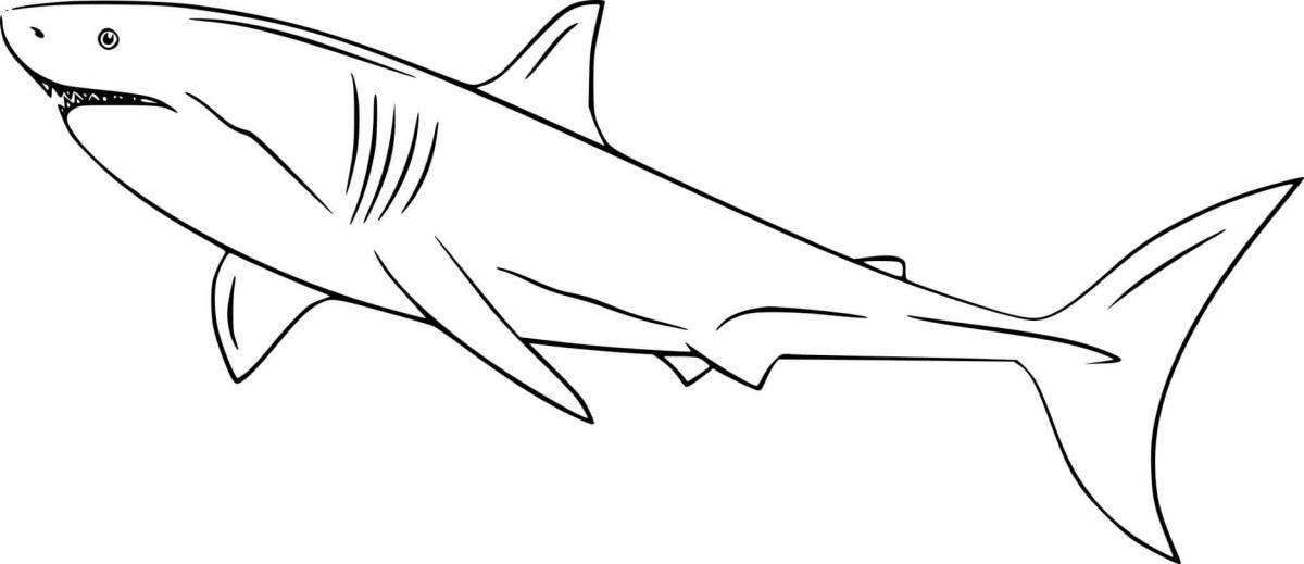 Яркая страница раскраски тигровой акулы