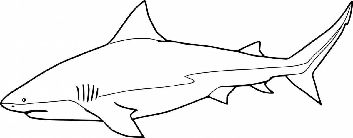 Раскраска сияющая тигровая акула