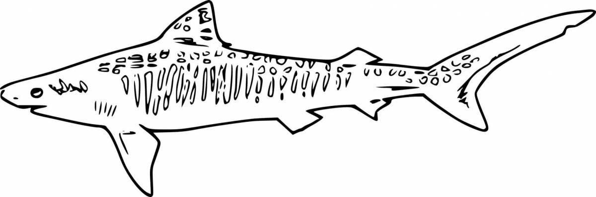 Exquisite tiger shark coloring page