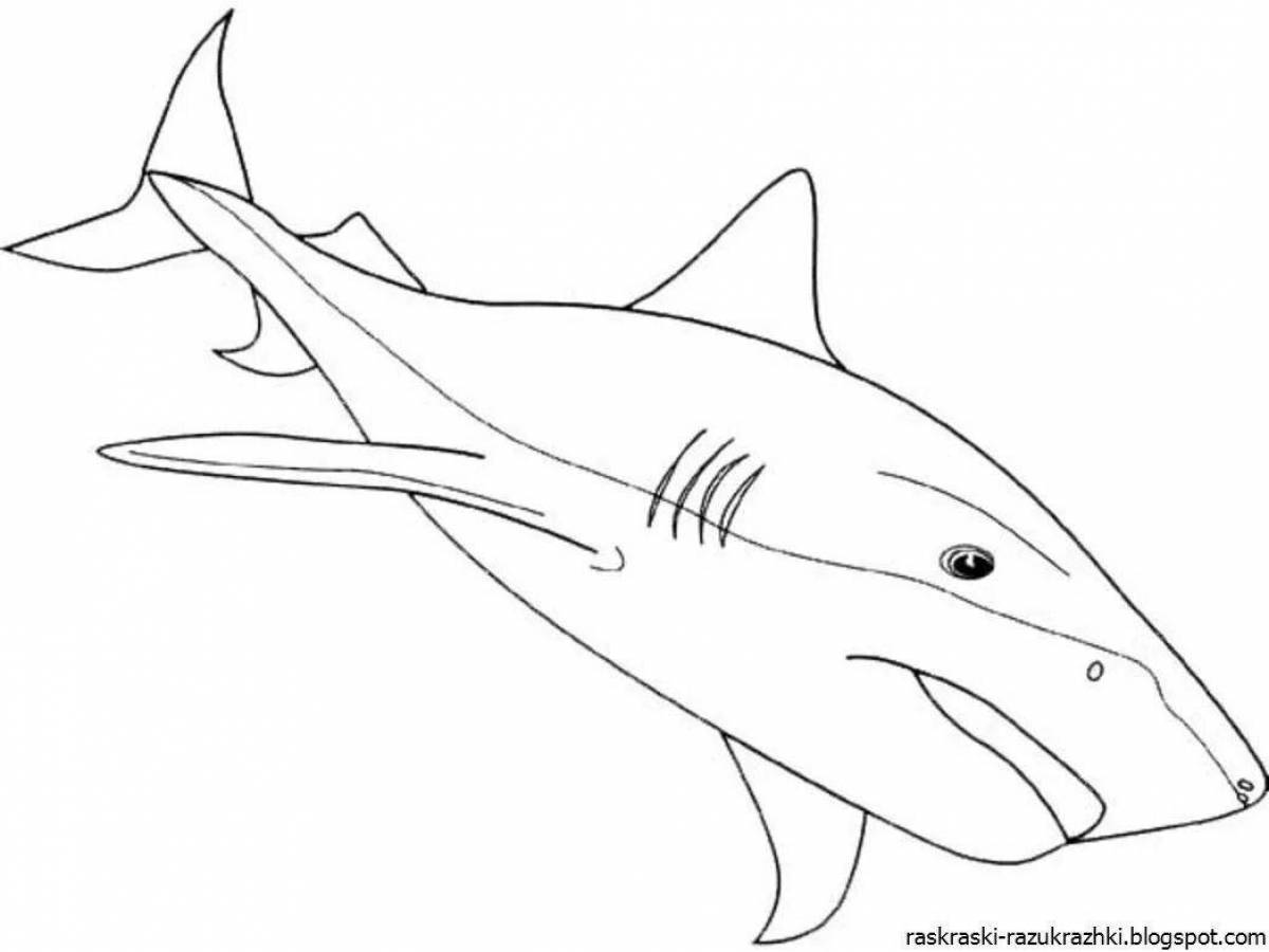 Immaculate tiger shark coloring page