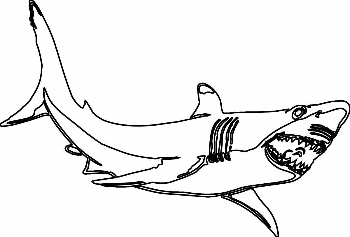 Elegant tiger shark coloring book