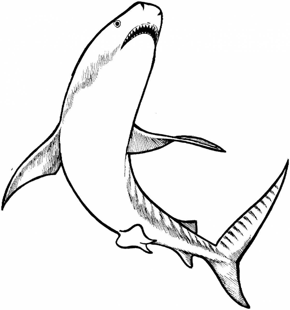Beautiful tiger shark coloring page