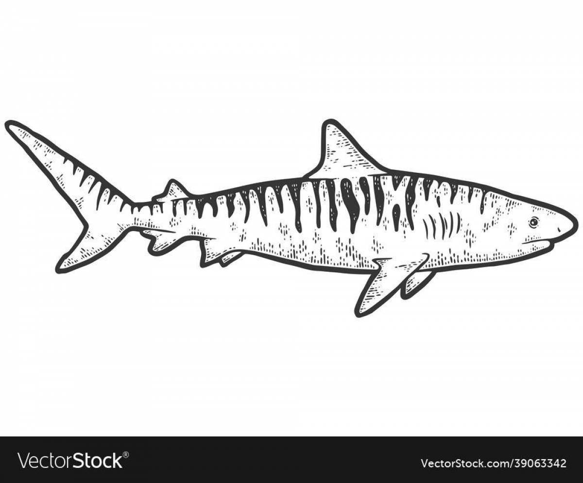 Exotic tiger shark coloring page