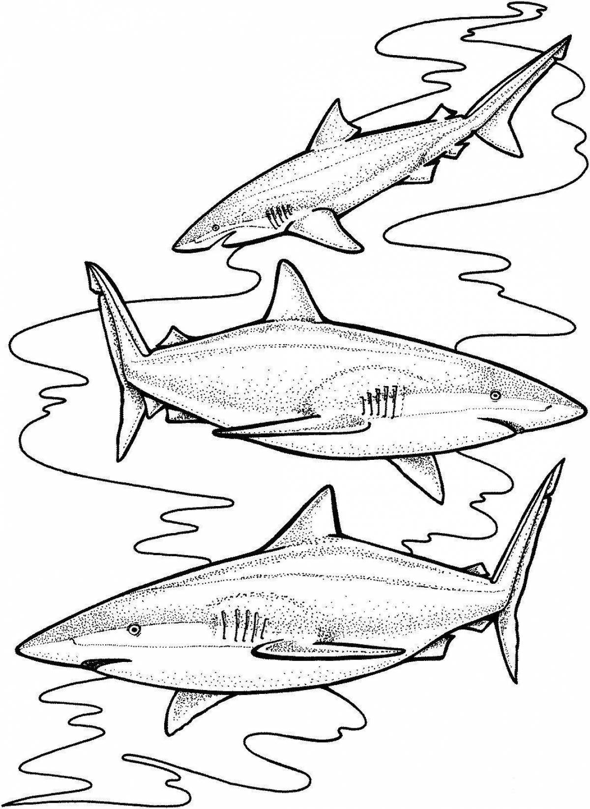 Завораживающая страница раскраски тигровой акулы