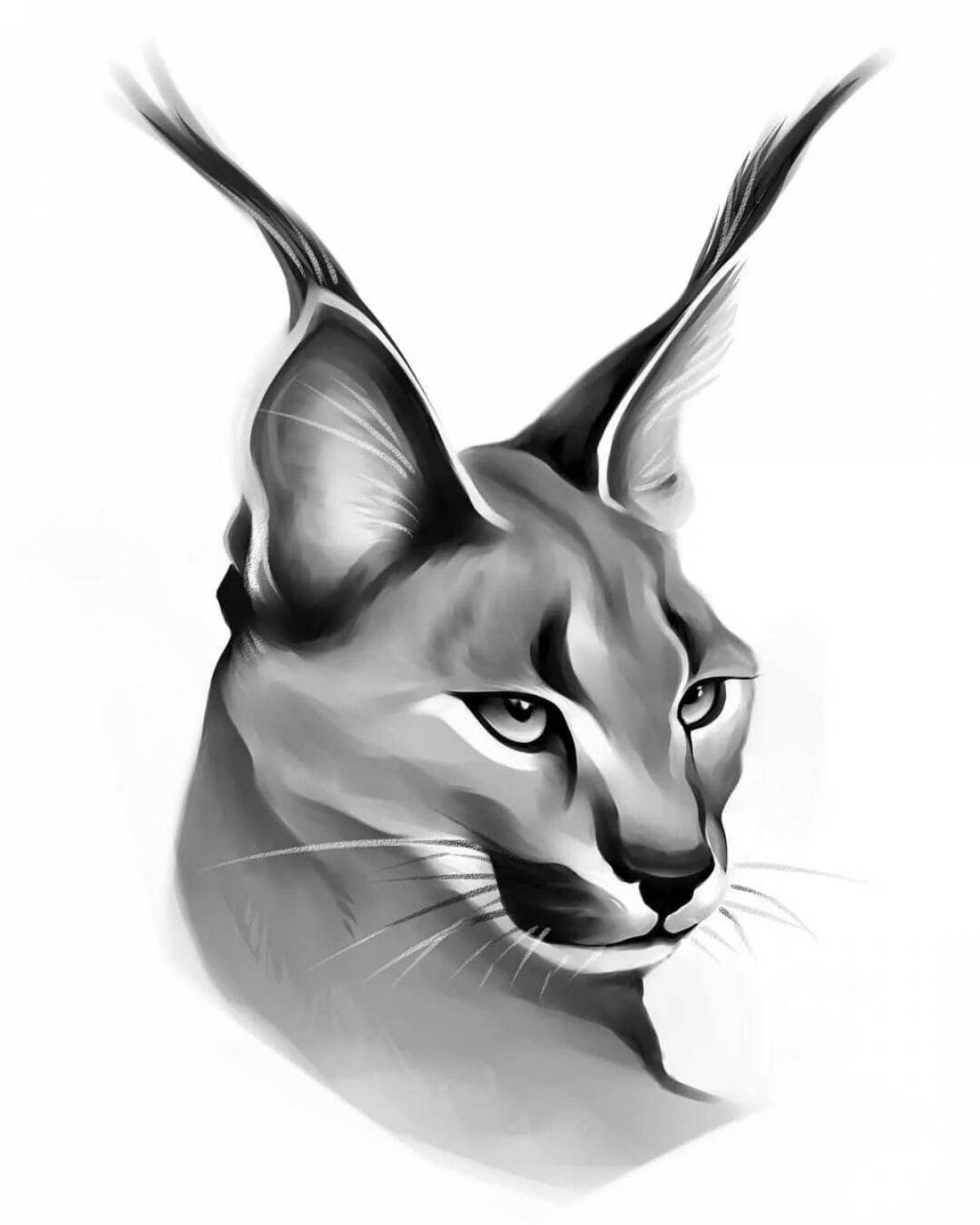 Coloring book funny caracal