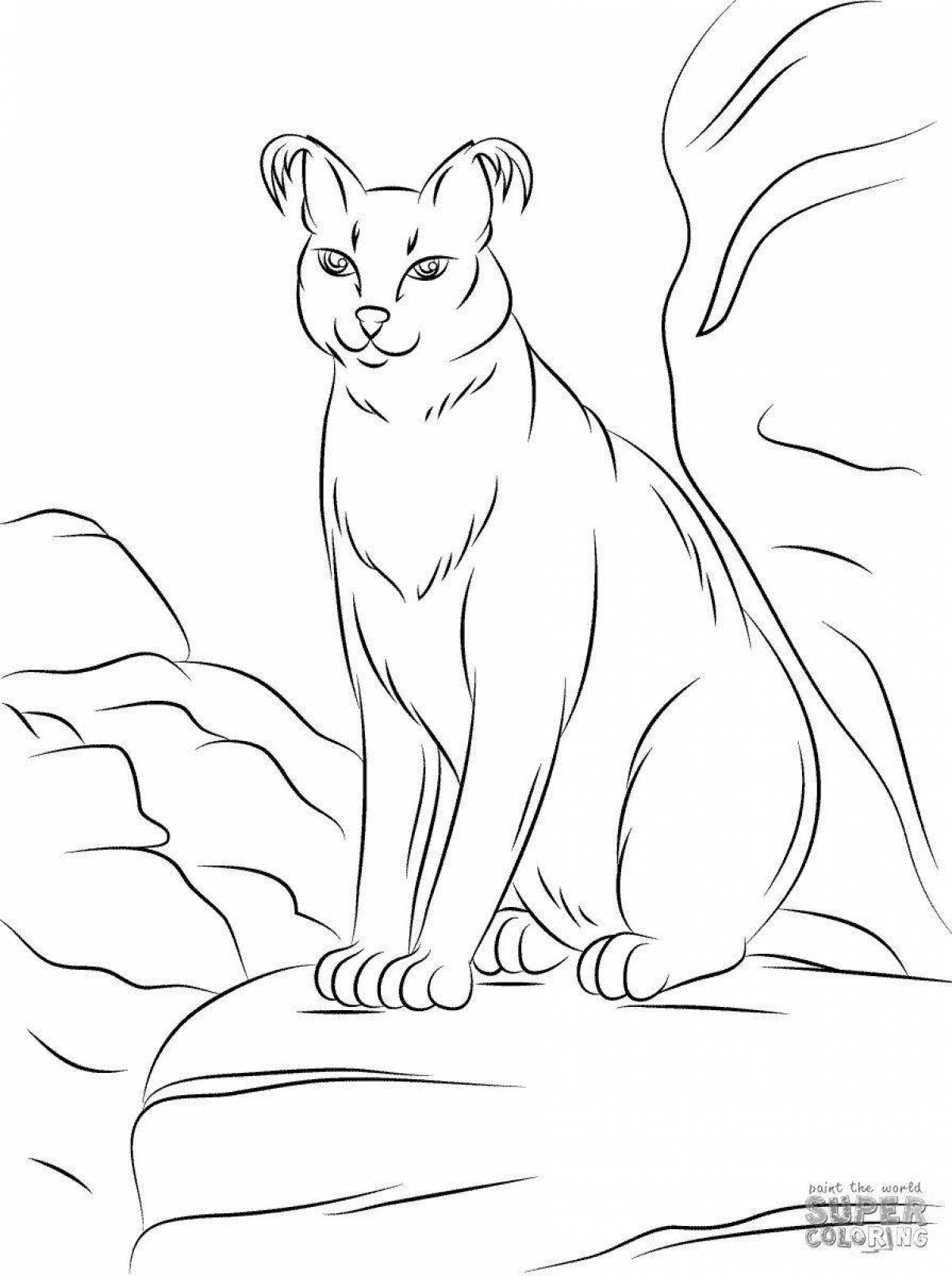 Playful caracal coloring page