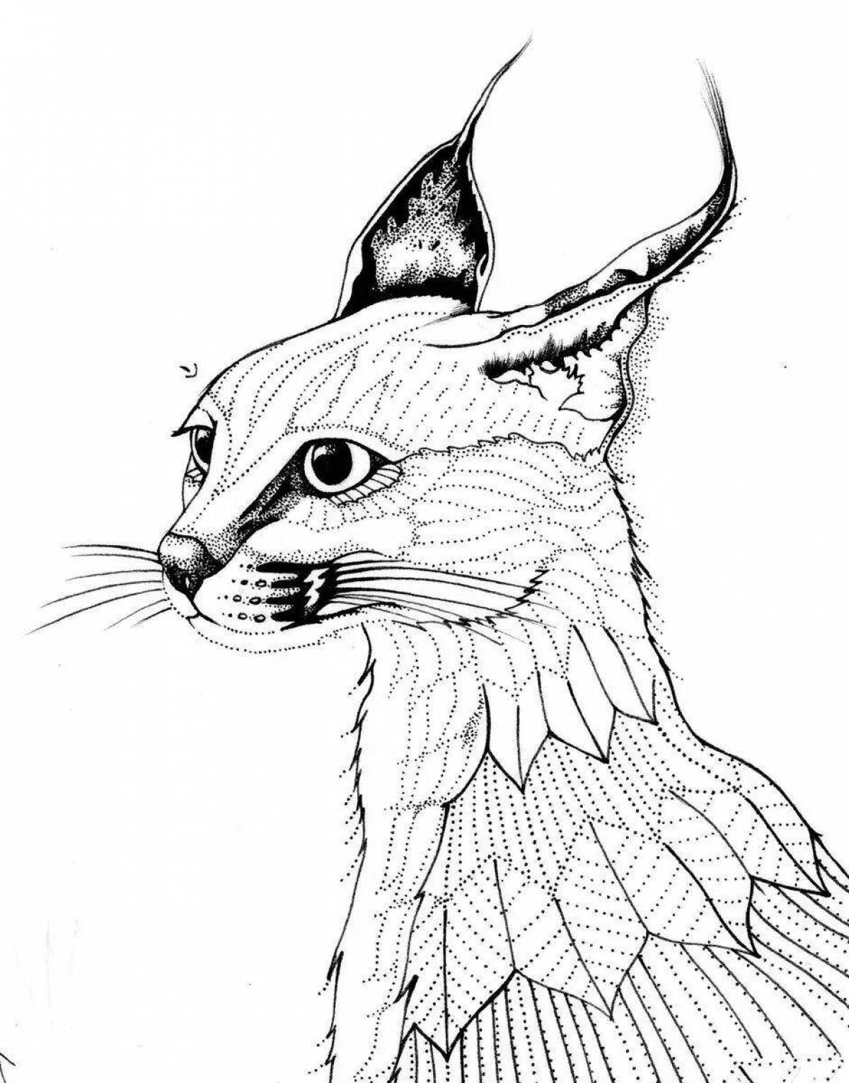 Animated caracal coloring page