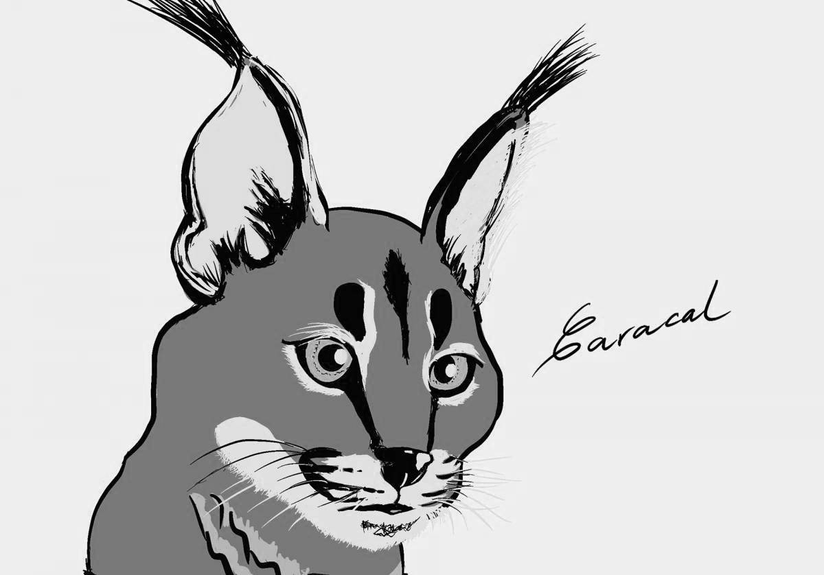 Caracal funny coloring book