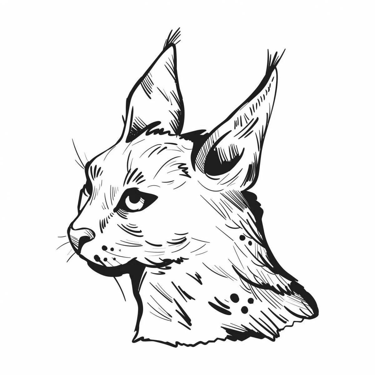 Caracal humorous coloring book