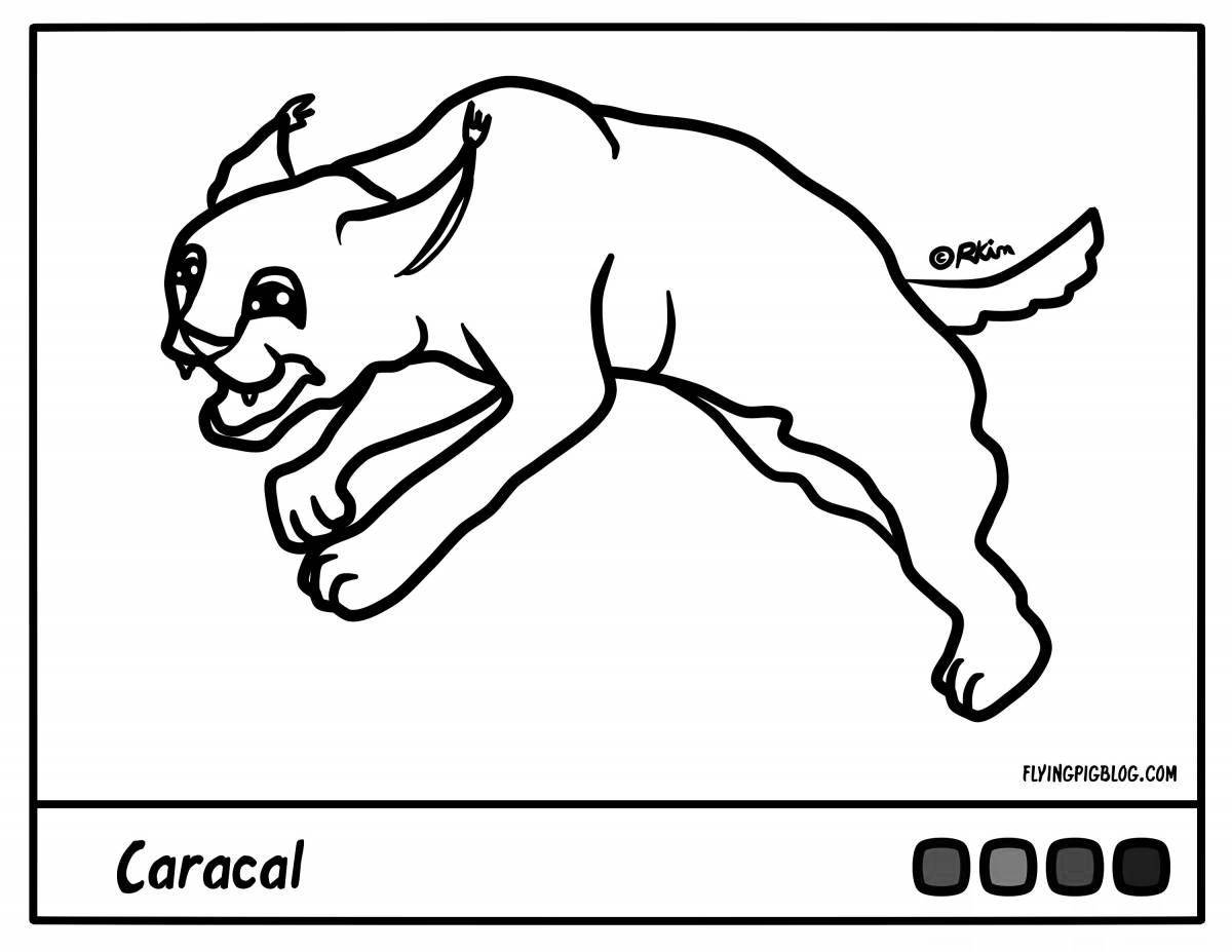 Причудливая раскраска каракал