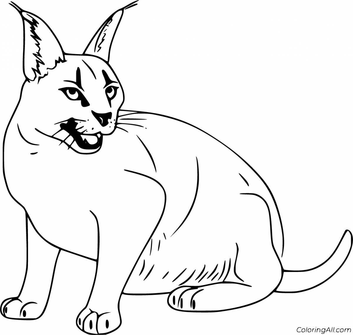 Witty caracal coloring page