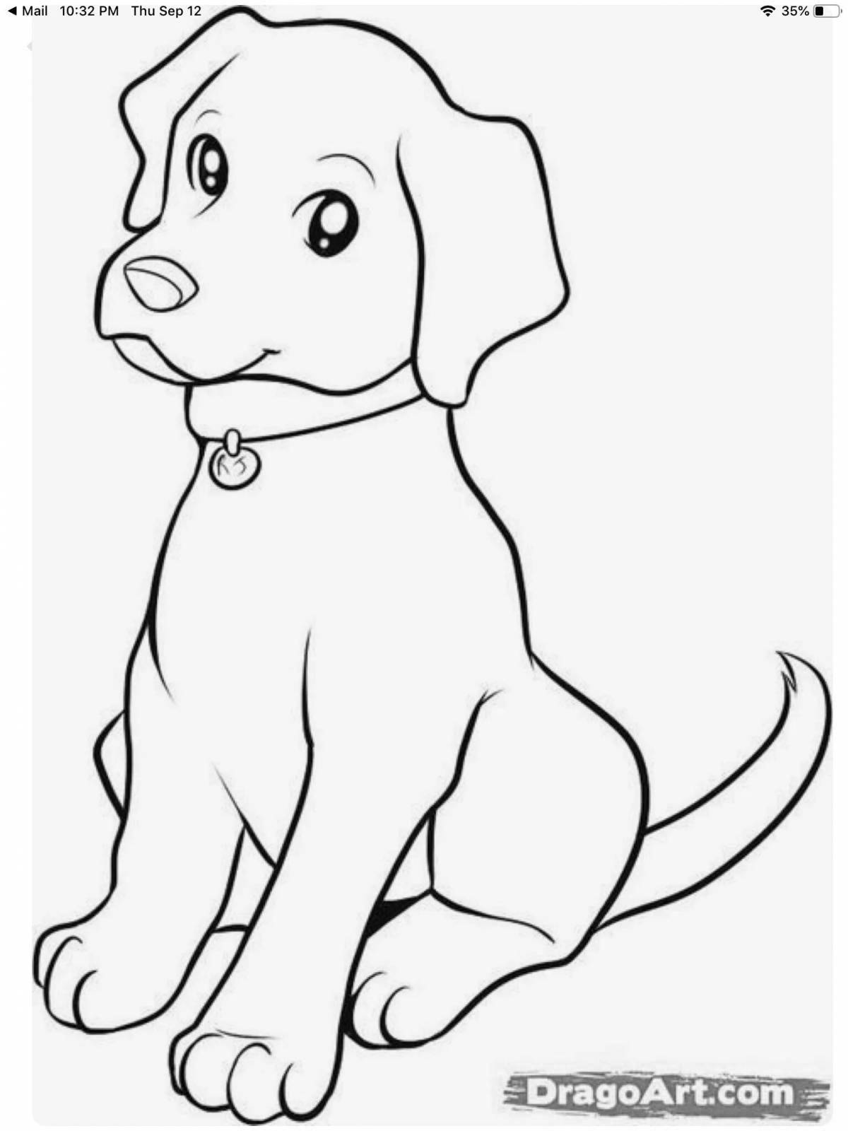 Playful dog coloring book