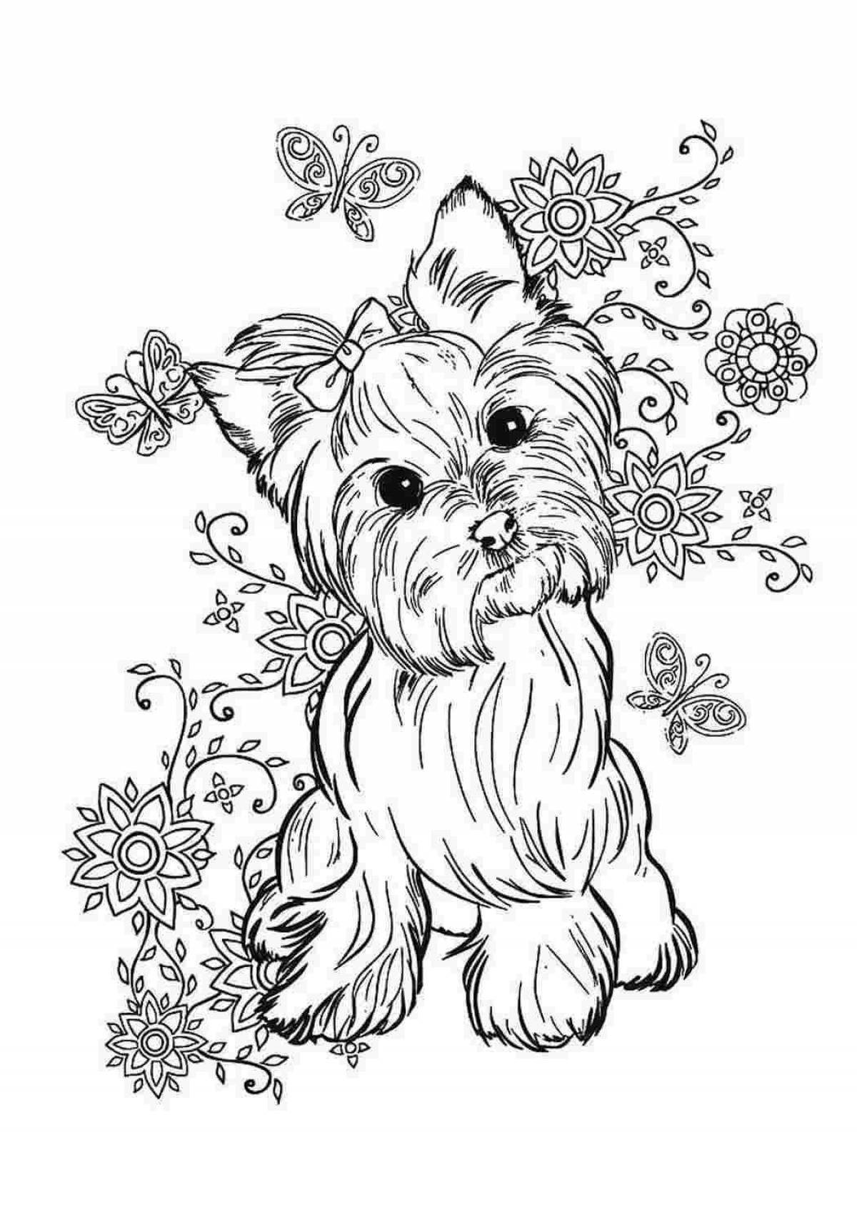 Shiny dog ​​coloring book