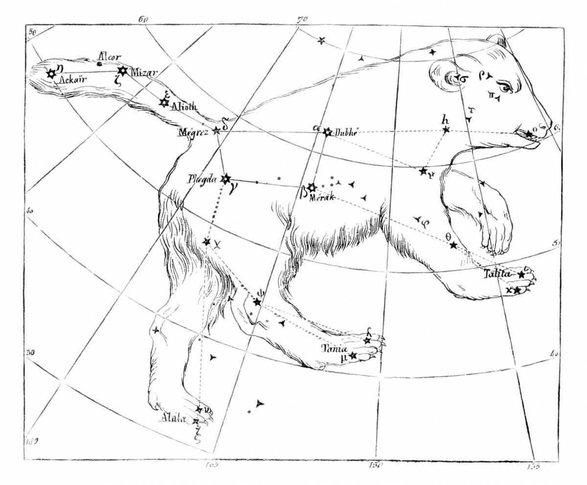Photo Majestic Ursa Minor coloring page