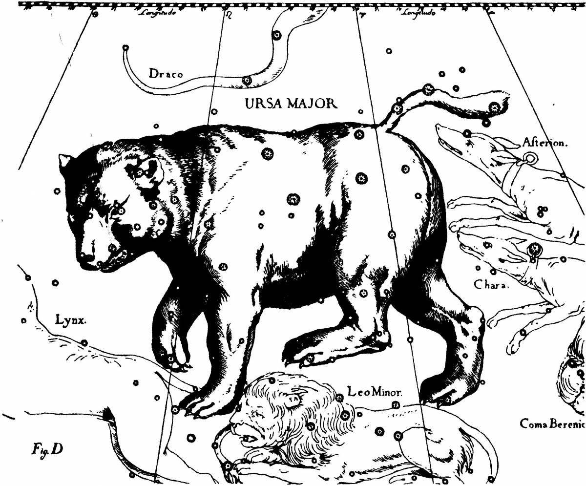 Amazing Ursa Minor Coloring Page