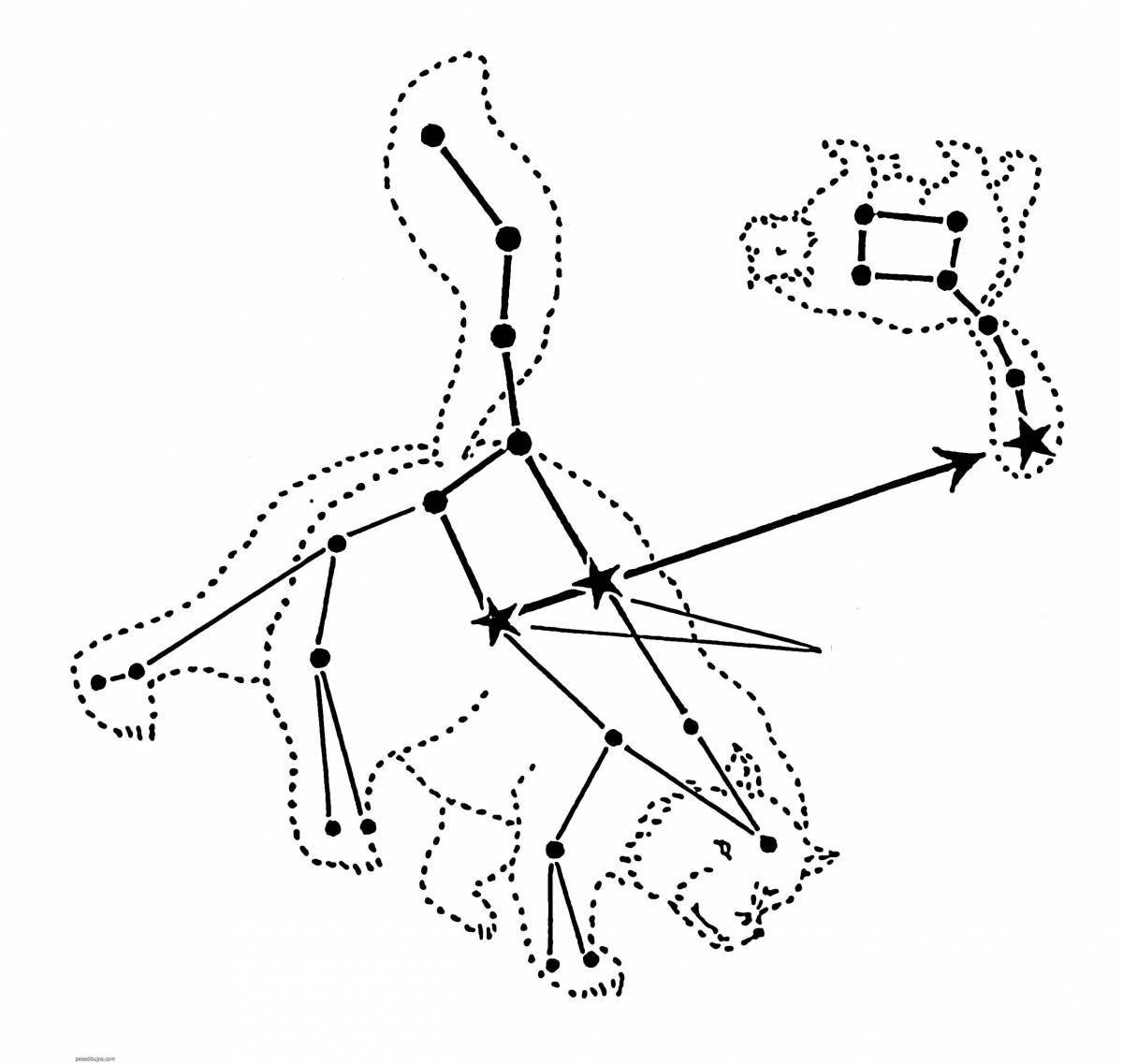 Photo Coloring book peaceful Ursa Minor